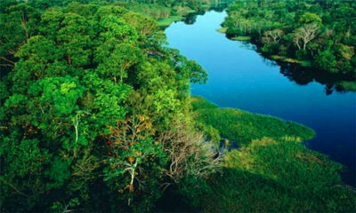 世界流域面积最大的河