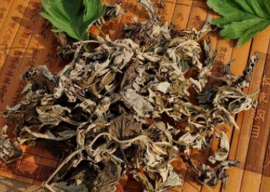 排肚子里的气最快方法