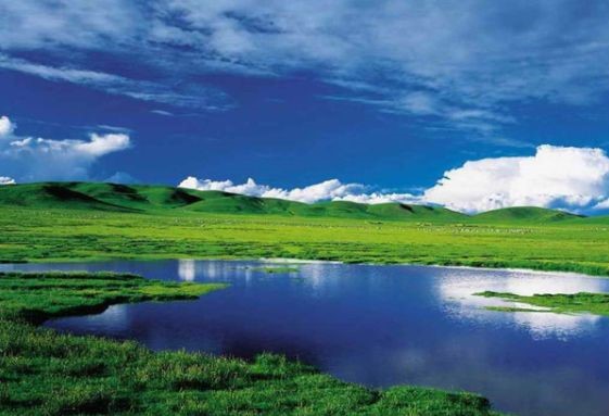中国四大草原