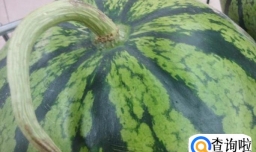 怎么辨别西瓜生熟,怎么辨别西瓜好坏