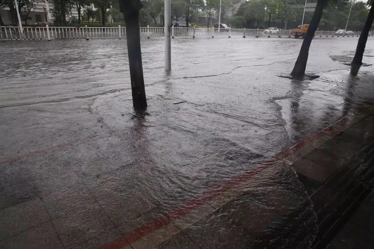 台风橙色预警代表什么