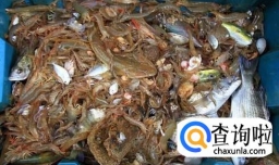 广西旅游几月份去最好