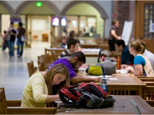 华侨是什么意思