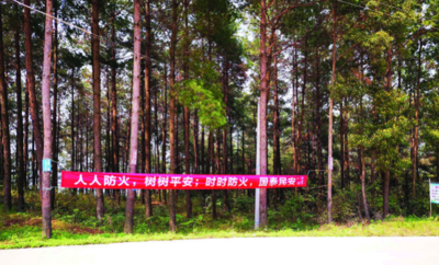 森林防火标语有哪些