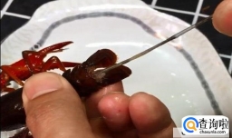 小龙虾的虾线怎么处理方便