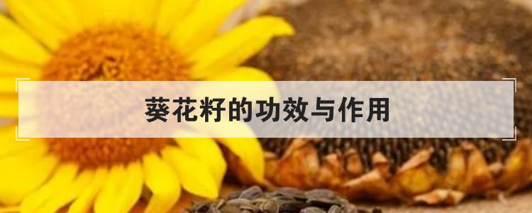 葵花籽的功效与作用br