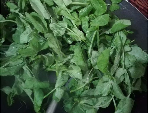 龙须豆苗怎么做好吃