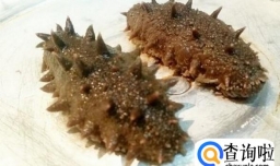 新鲜海参如何做才能即方便、营养又好吃！