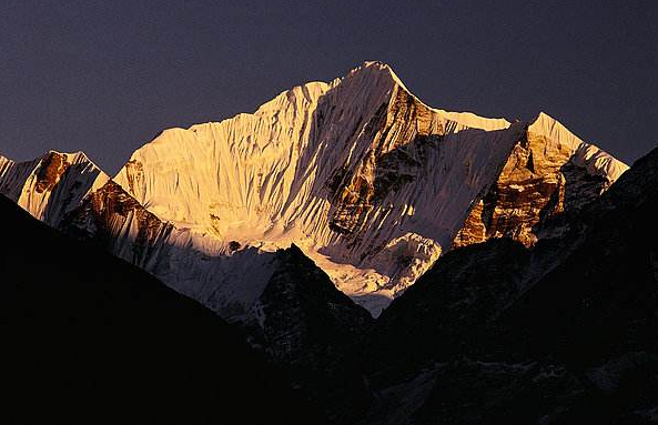 诚信的故事主要讲了什么