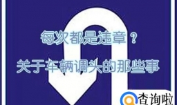 新手开车知道哪里能掉头哪里不能吗？