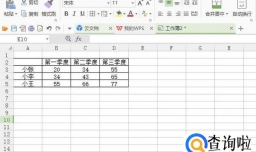 WPS表格如何进行分类汇总