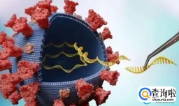 xbb会在我国引起新一轮流行吗