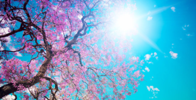 与天气有关的谚语有哪些