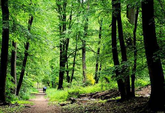每年什么时候是森林防火戒严期