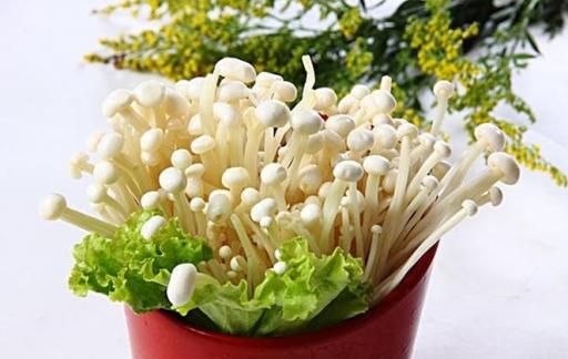 哪些蔬菜含有较高的蛋白质