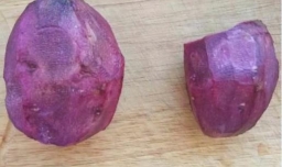 水晶紫薯球的做法