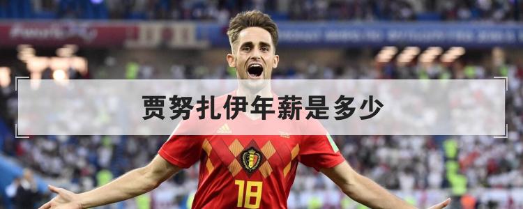 贾努扎伊年薪是多少