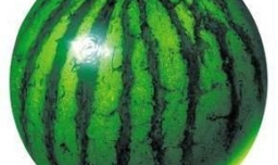 教你很简单的水果拼盘