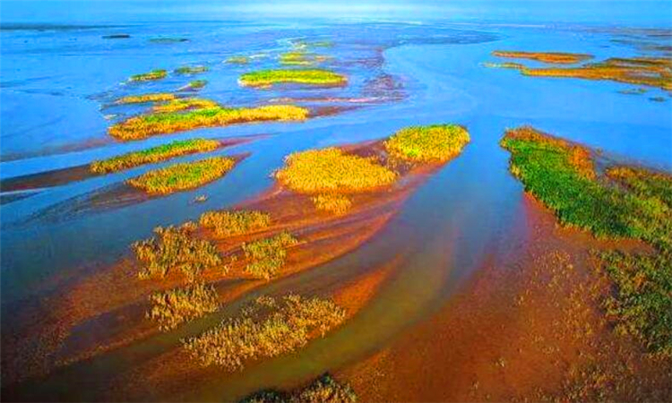 黄河入海口在哪里