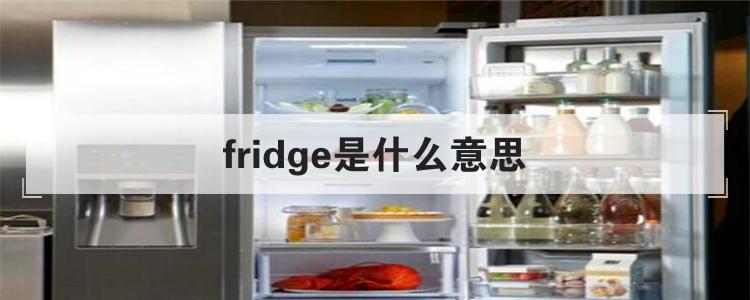 fridge是什么意思