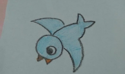 小鸟彩色简笔画怎么画