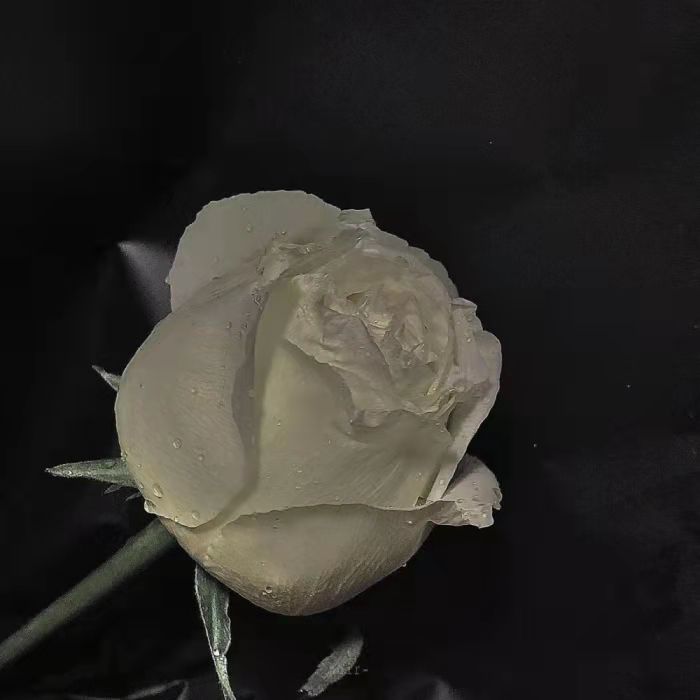 喜欢一个人什么感觉