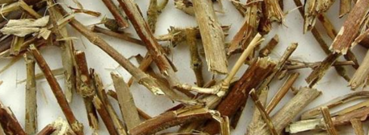 忍冬藤的功效与作用