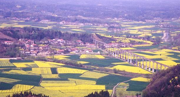 鄢城是现在哪里