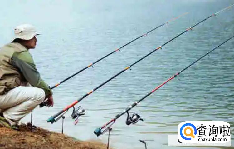 初学者钓鱼技巧，新手如何钓鱼？