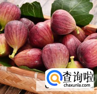 种无花果有哪些禁忌