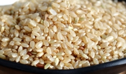 梗米和大米的区别