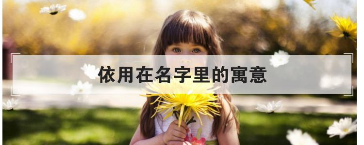 依用在名字里的寓意