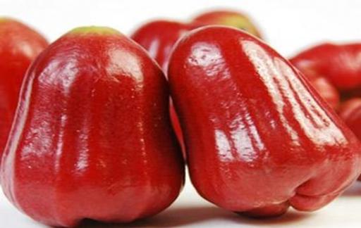 雾莲果的功效和作用有哪些