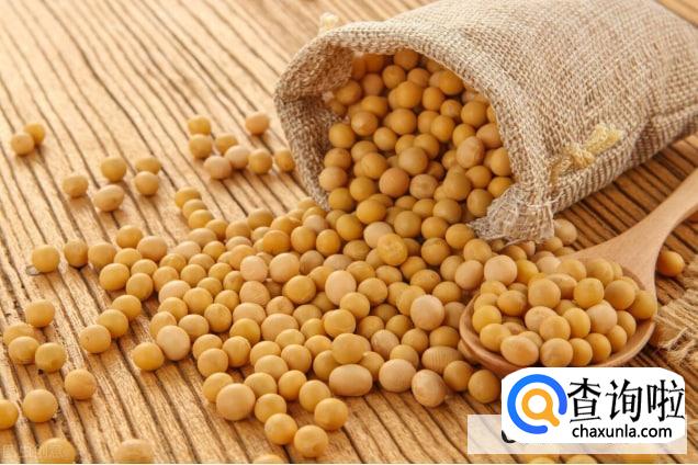 什么食物治胃酸最好