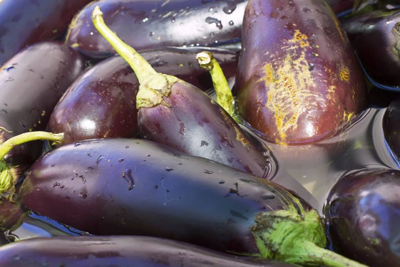 茄子的营养与功效与禁忌