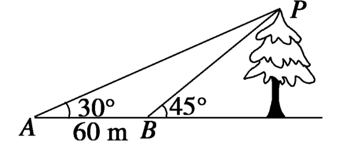 正弦定理和余弦定理是什么