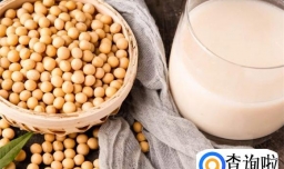 豆浆什么时候喝效果最好