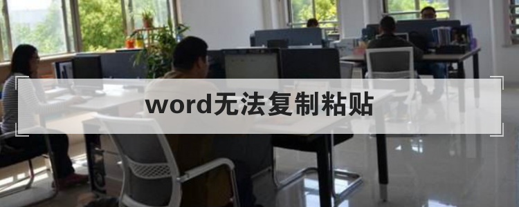 word无法复制粘贴