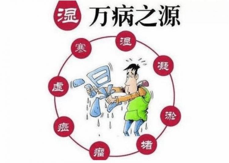 体内湿气大怎么办