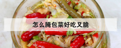 怎么腌包菜好吃又脆