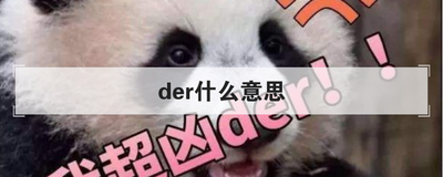 der什么意思