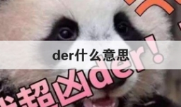 der什么意思