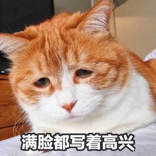 信小呆是谁