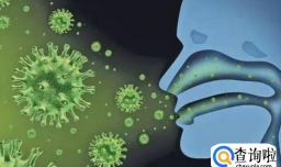 甲流病毒通过什么传染的