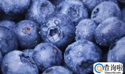 怎么清洗蓝莓最干净