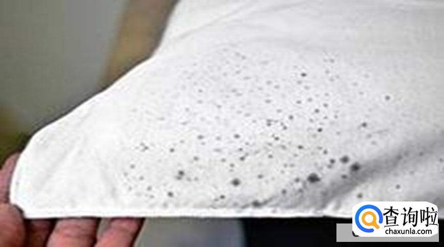 衣服发霉能洗掉吗怎么洗