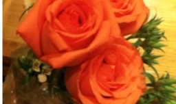 约会大作战 如何约女生出来一起吃饭