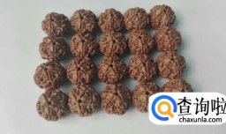 金刚反碱怎么办