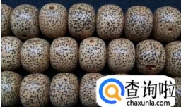 星月菩提好坏的辨别