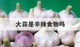 大蒜是辛辣食物吗